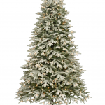 l'albero della luce